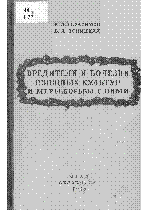 Muqaba