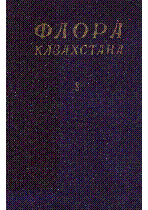 Мұқаба