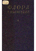 Мұқаба