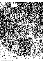 Мұқаба