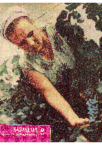 Muqaba